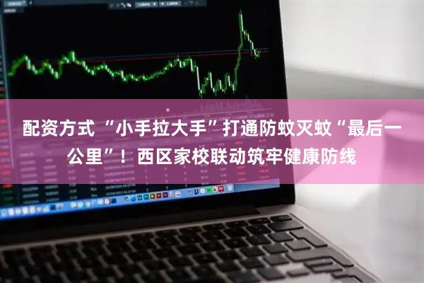 配资方式 “小手拉大手”打通防蚊灭蚊“最后一公里”！西区家校联动筑牢健康防线