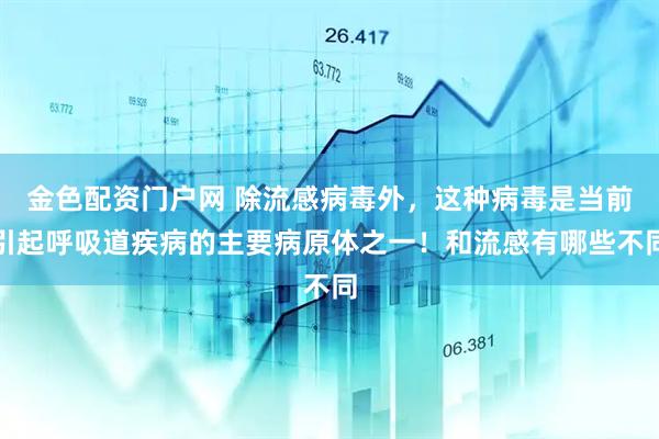 金色配资门户网 除流感病毒外，这种病毒是当前引起呼吸道疾病的主要病原体之一！和流感有哪些不同