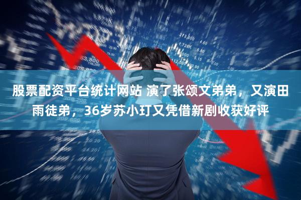 股票配资平台统计网站 演了张颂文弟弟，又演田雨徒弟，36岁苏小玎又凭借新剧收获好评